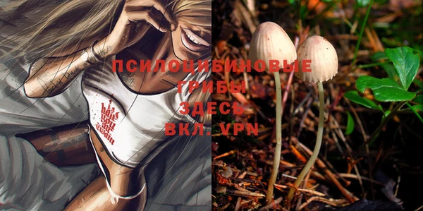 mdma Кинешма