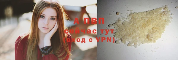 шишки Киренск