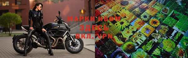 шишки Киренск