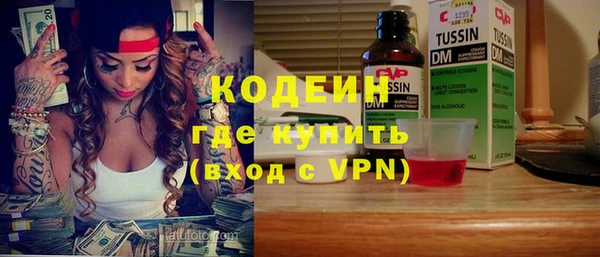 шишки Киренск