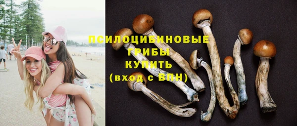 шишки Киренск