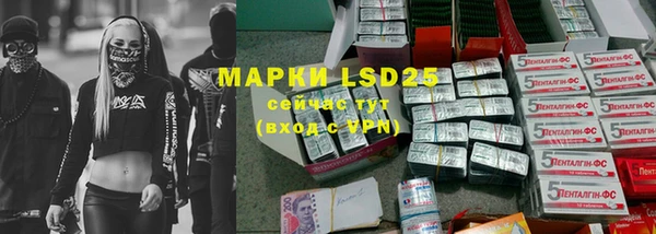 шишки Киренск